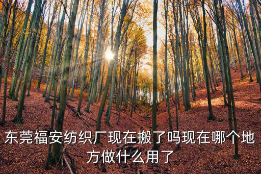 東莞福安紡織廠現在搬了嗎現在哪個地方做什么用了