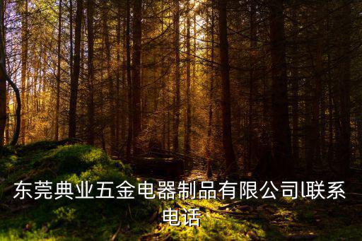 東莞典業五金電器制品有限公司l聯系電話