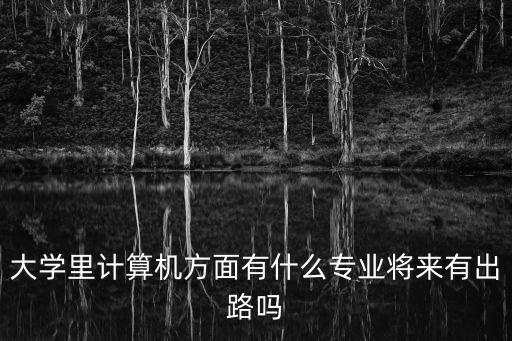 大學里計算機方面有什么專業將來有出路嗎
