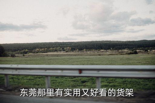 東莞那里有實用又好看的貨架
