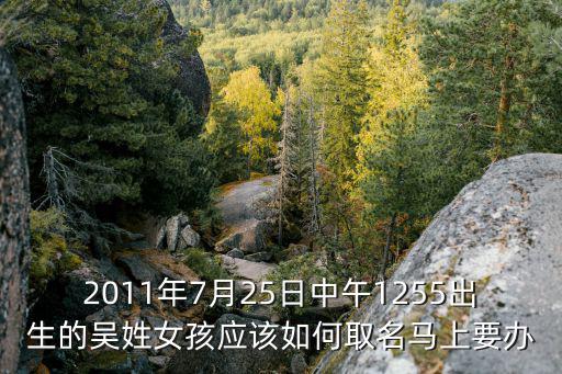 2011年7月25日中午1255出生的吳姓女孩應(yīng)該如何取名馬上要辦