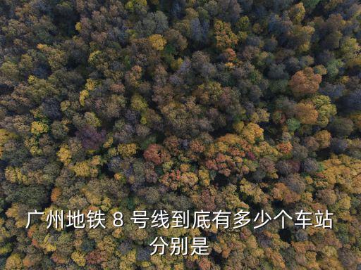 廣州地鐵 8 號(hào)線到底有多少個(gè)車站分別是