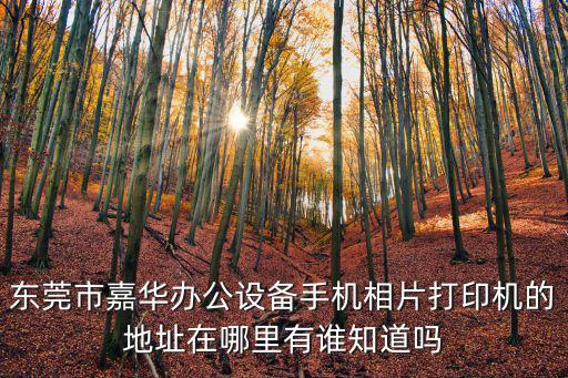 東莞市嘉華辦公設備手機相片打印機的地址在哪里有誰知道嗎