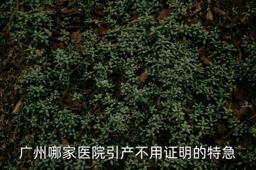 廣州不需要準(zhǔn)生證的醫(yī)院，廣州哪家醫(yī)院引產(chǎn)不用證明的特急