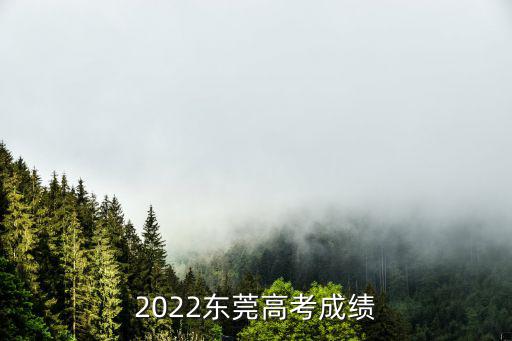 2022東莞高考成績