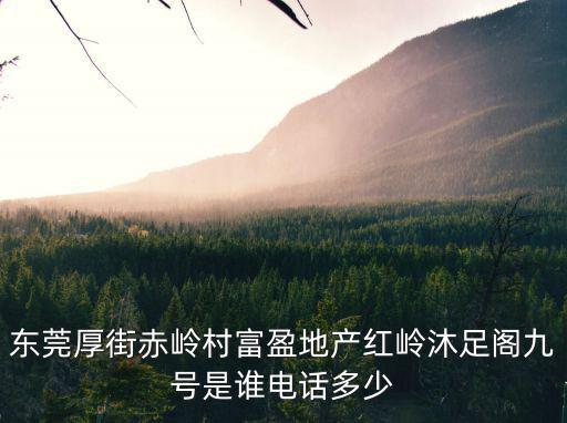 東莞厚街赤嶺村富盈地產紅嶺沐足閣九號是誰電話多少