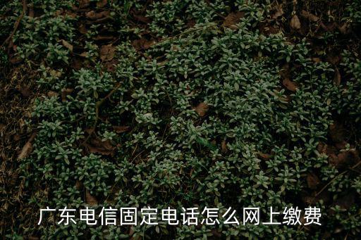 廣東電信固定電話怎么網(wǎng)上繳費