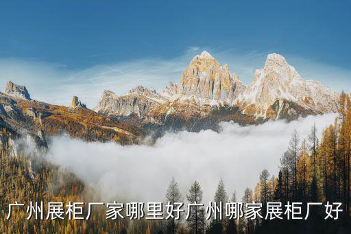 廣州展柜廠家哪里好廣州哪家展柜廠好