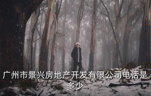 廣州市景興房地產開發有限公司電話是多少