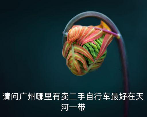 廣州二手兒童自行車，請問廣州哪里有賣二手自行車最好在天河一帶