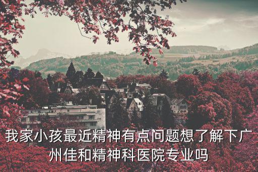 我家小孩最近精神有點問題想了解下廣州佳和精神科醫院專業嗎