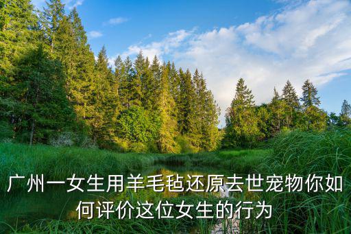廣州一女生用羊毛氈還原去世寵物你如何評(píng)價(jià)這位女生的行為