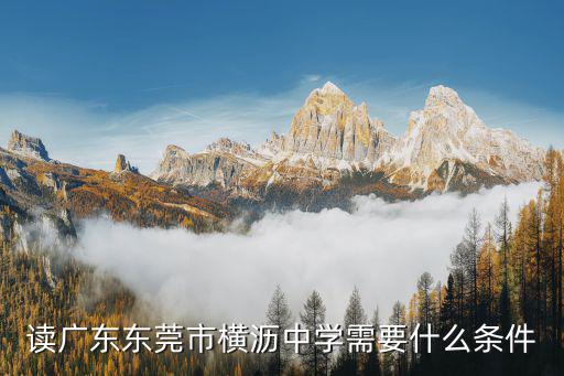 讀廣東東莞市橫瀝中學(xué)需要什么條件