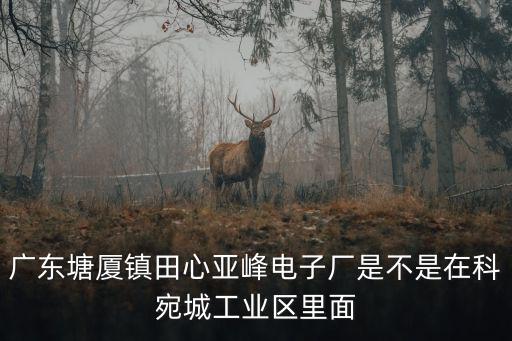 廣東塘廈鎮(zhèn)田心亞峰電子廠是不是在科宛城工業(yè)區(qū)里面
