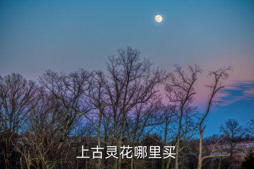 上古靈花哪里買