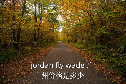 廣州咪表 價格，jordan fly wade 廣州價格是多少
