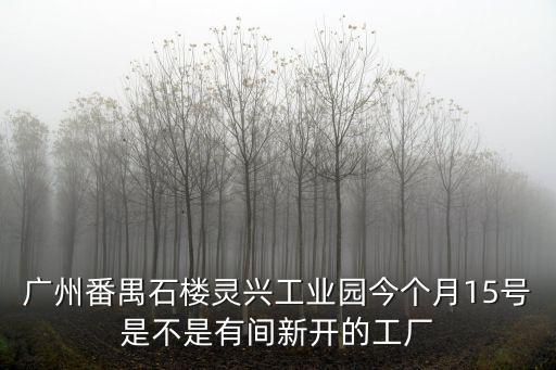 廣州番禺石樓靈興工業園今個月15號是不是有間新開的工廠