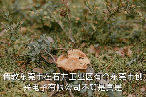 請教東莞市在石井工業區有個東莞市創興電子有限公司不知是真是