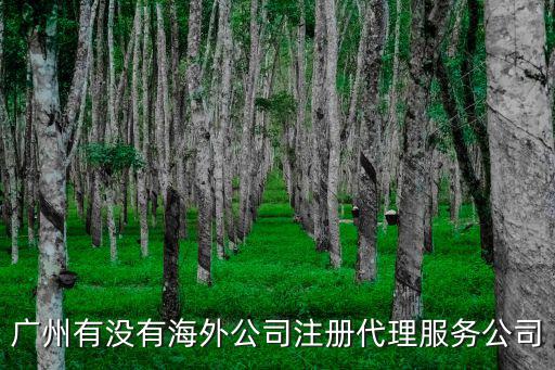 廣州有沒有海外公司注冊代理服務公司