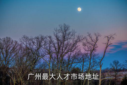 廣州最大人才市場(chǎng)地址