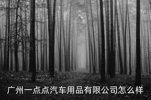 廣州一點點汽車用品有限公司怎么樣