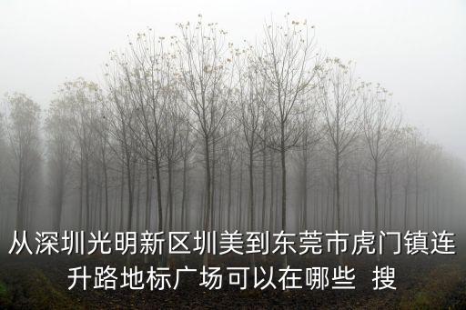 東莞圳升龍，松崗到東莞石龍鎮黃洲新城區祥龍路富華電子工業園做什么車