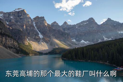 東莞高埔的那個最大的鞋廠叫什么啊