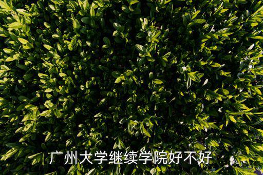 廣州大學(xué)繼續(xù)學(xué)院好不好