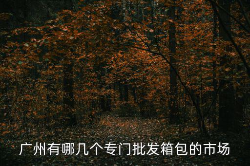 廣州有哪幾個專門批發箱包的市場