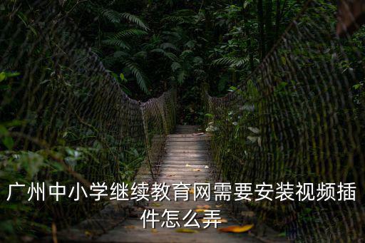 廣州中小學繼續教育網需要安裝視頻插件怎么弄