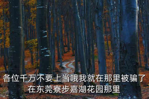 各位千萬不要上當哦我就在那里被騙了在東莞寮步嘉湖花園那里