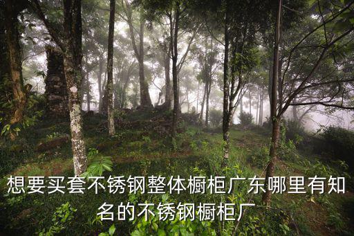 想要買套不銹鋼整體櫥柜廣東哪里有知名的不銹鋼櫥柜廠
