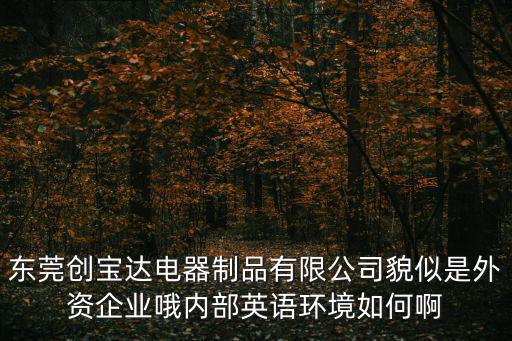東莞創寶達電器制品有限公司貌似是外資企業哦內部英語環境如何啊