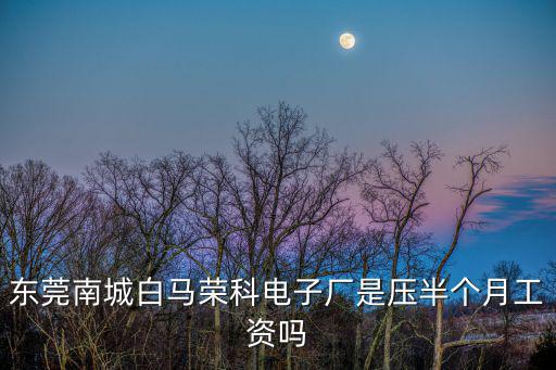 東莞南城白馬榮科電子廠是壓半個(gè)月工資嗎