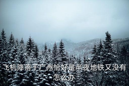 飛機(jī)降落于廣州恰好是半夜地鐵又沒(méi)有怎么辦
