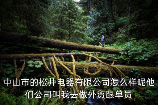 中山市的松井電器有限公司怎么樣呢他們公司叫我去做外貿跟單員