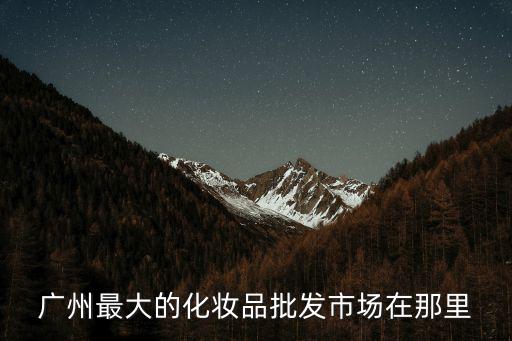 廣州最大的化妝品批發(fā)市場(chǎng)在那里