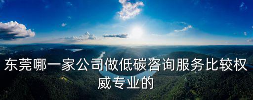 東莞哪一家公司做低碳咨詢服務比較權威專業的