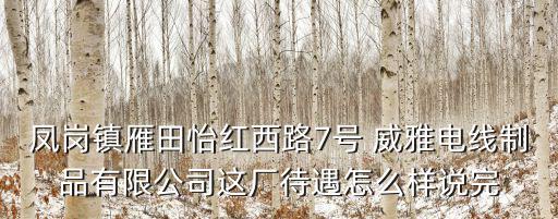 鳳崗鎮(zhèn)雁田怡紅西路7號(hào) 威雅電線制品有限公司這廠待遇怎么樣說(shuō)完