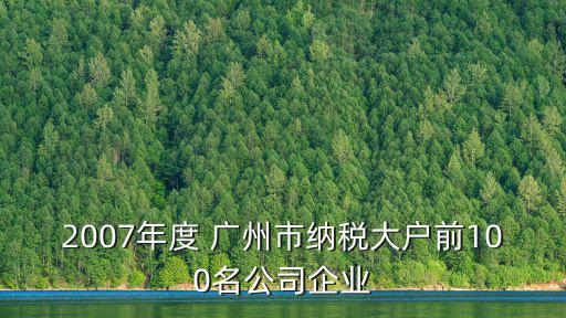 2007年度 廣州市納稅大戶前100名公司企業(yè)
