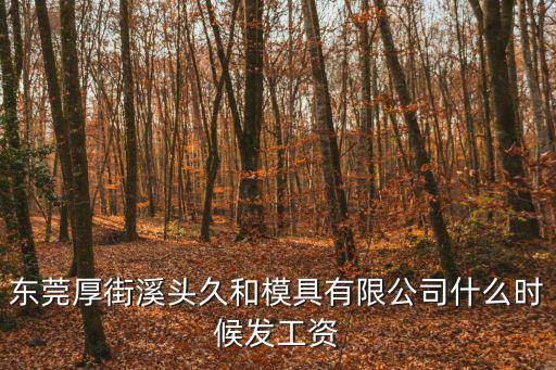 東莞厚街溪頭久和模具有限公司什么時候發(fā)工資