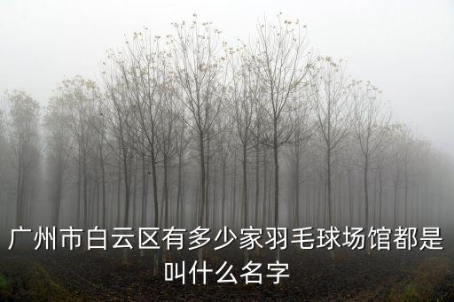 廣州市羽毛球，廣州市羽毛球協會的介紹
