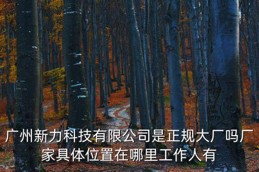 廣州新力科技有限公司是正規大廠嗎廠家具體位置在哪里工作人有