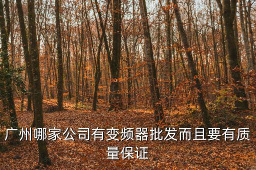 廣州哪家公司有變頻器批發(fā)而且要有質量保證
