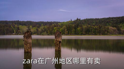 廣州zara，廣州哪有ZARA專賣店呢有哪位大哥知道嗎