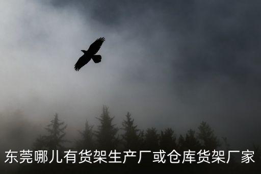 東莞哪兒有貨架生產廠或倉庫貨架廠家