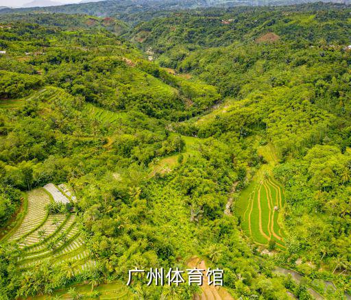 廣州體育館