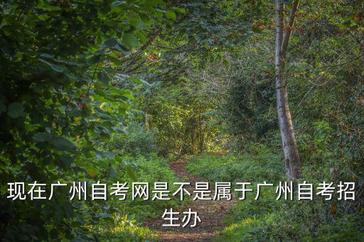 現在廣州自考網是不是屬于廣州自考招生辦