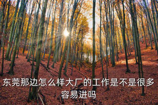 東莞那邊怎么樣大廠的工作是不是很多容易進(jìn)嗎