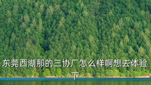 東莞西湖那的三協廠怎么樣啊想去體驗下